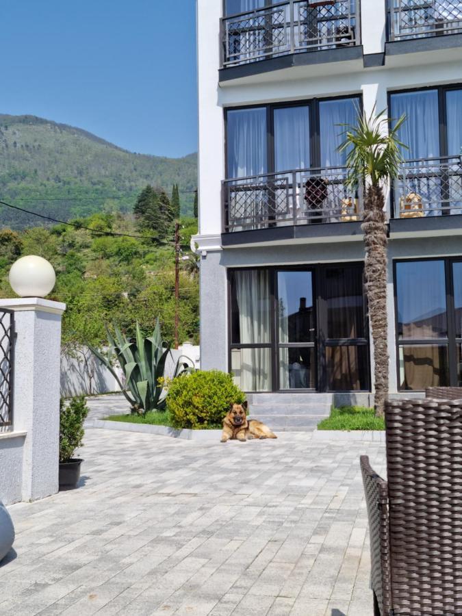 Gega Hotel Gagry Zewnętrze zdjęcie