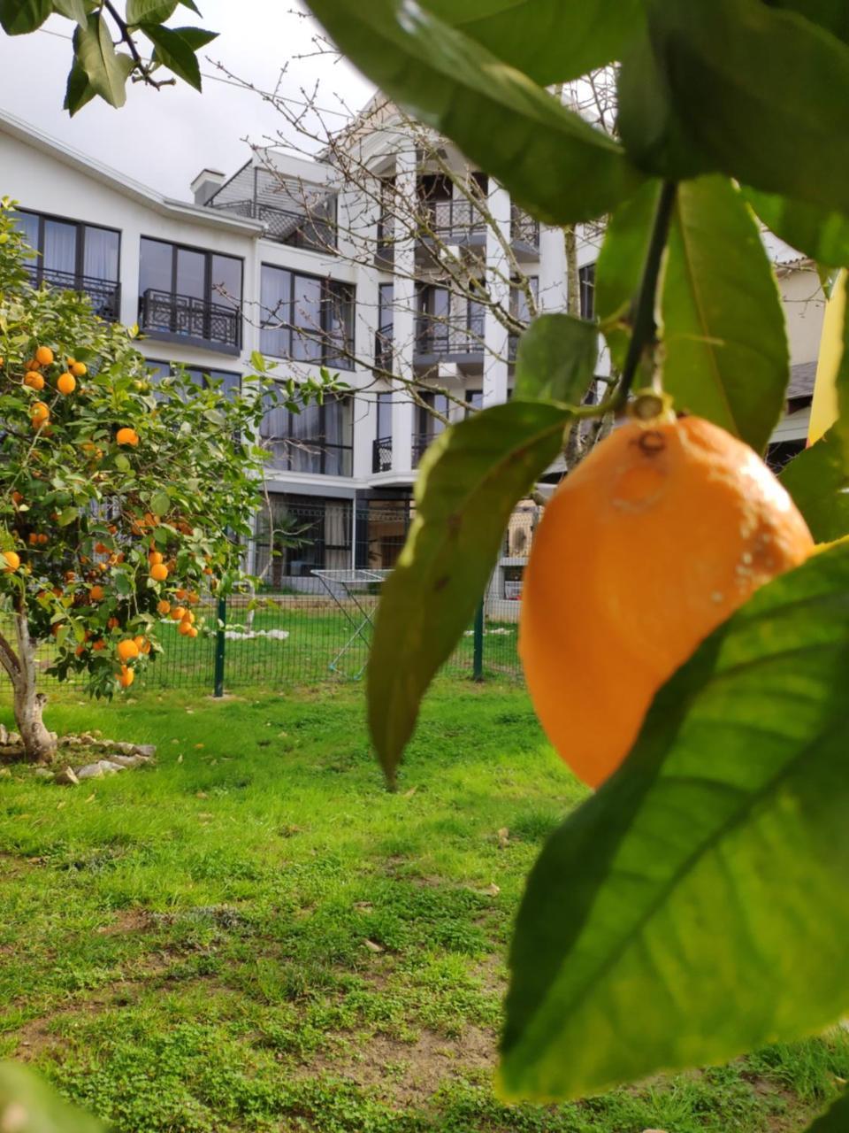 Gega Hotel Gagry Zewnętrze zdjęcie